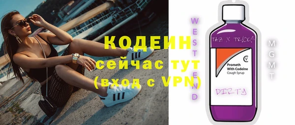 МДПВ Протвино